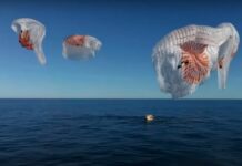 Astronautas da Starliner e Crew-9 retornam à Terra após nove meses no espaço