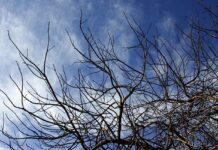 Mato Grosso do Sul deve registrar primeiro frio do ano na próxima semana