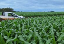 Prazo para cadastro de áreas de soja encerra em um mês em Mato Grosso do Sul
