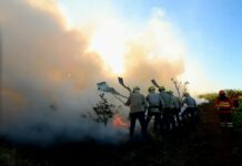 Governo de MS vai antecipar cronograma e lançar PSA Brigadas já em abril