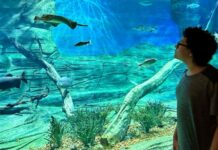 No Dia do Trabalhador, Bioparque Pantanal terá horário especial de visitação