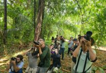City tour marca os 2 anos de Campo Grande como Capital do Turismo de Observação de Aves