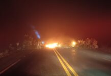 Manifestação do MST interdita BR-060 e provoca fila de 5 km no trânsito