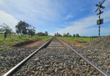 ANTT aprova expansão da Malha Norte com foco na logística da celulose