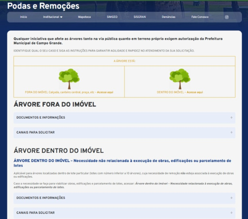 Poda e remoção de árvores podem ser solicitadas online em Campo Grande