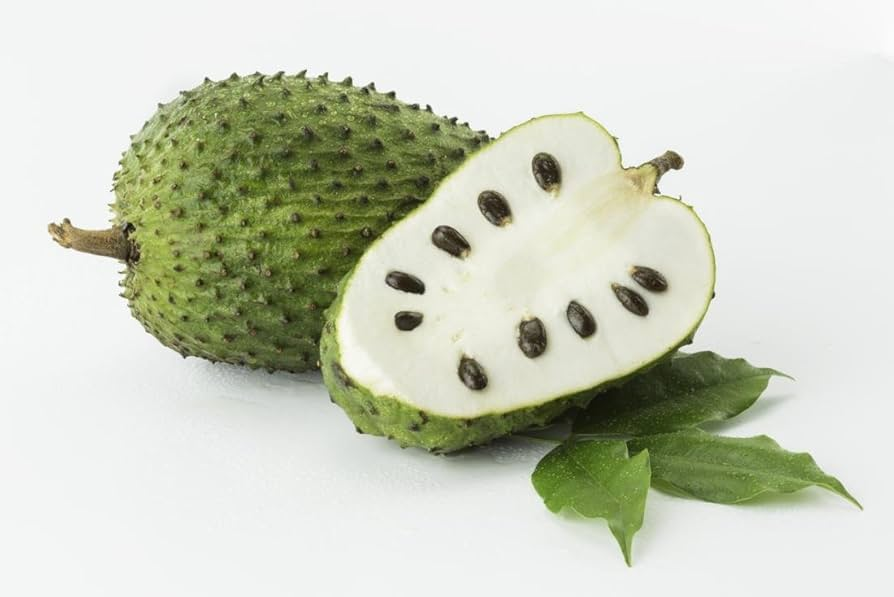 Conheça os benefícios da graviola e veja três receitas para fazer com a fruta em casa Conheça os benefícios da graviola e veja três receitas para fazer com a fruta em casa
