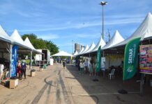 Campo Grande recebe 16ª edição do Drive Thru da Reciclagem com programação educativa