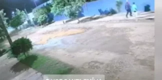 Últimas Notícias