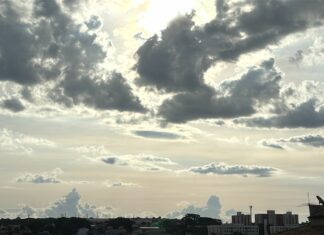 Home