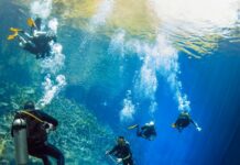 Temporada Azul: mergulho com cilindro revela a magia da Lagoa Misteriosa em Jardim