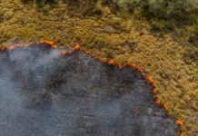 Queimadas em MS preocupam mesmo com redução em relação ao ano passado