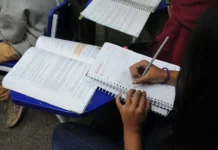 MS registra queda no analfabetismo e mantém taxa abaixo da média nacional