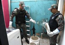 Funcionária se assusta com gambá preso em balde de lixo e aciona PMA