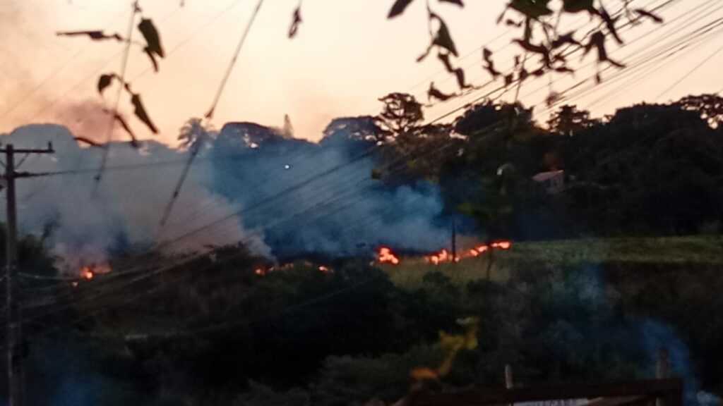 De novo! Área de mata fechada no bairro Jardim das Cerejeiras é tomada pelo fogo De novo! Área de mata fechada no bairro Jardim das Cerejeiras é tomada pelo fogo
