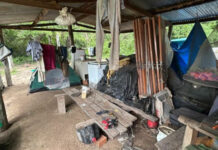 Acordo judicial garante mais de R$ 1 milhão a trabalhadores vítimas de trabalho escravo no MS