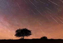 Céu de agosto tem chuva de meteoros Perseidas; saiba quando e como observar