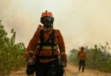 MS registra queda histórica de incêndios no Pantanal e Cerrado em 2025