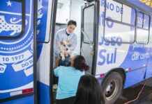 Mais de 4 mil animais são castrados na primeira etapa da Caravana da Castração em MS