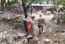 Morador de Corumbá é socorrido pelo Corpo de Bombeiros ao ser atacado por onça-pintada