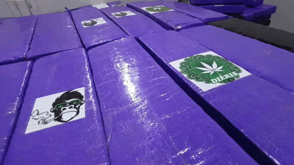 PRF apreende quase 2 toneladas de maconha após perseguição e acidente na BR-163 PRF apreende quase 2 toneladas de maconha após perseguição e acidente na BR-163