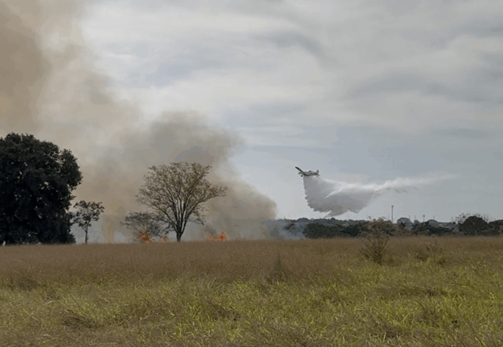 Incêndio de grandes proporções em área do bairro Seminário mobiliza bombeiros Incêndio de grandes proporções em área do bairro Seminário mobiliza bombeiros