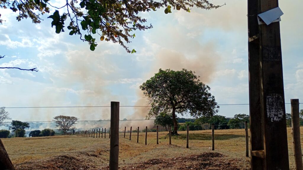 Pela terceira vez em 30 dias, área de vegetação pega fogo no bairro Jardim das Cerejeiras Pela terceira vez em 30 dias, área de vegetação pega fogo no bairro Jardim das Cerejeiras
