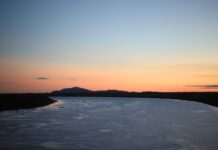 Pantanal em foco: Campo Grande sedia encontro estratégico rumo à COP30