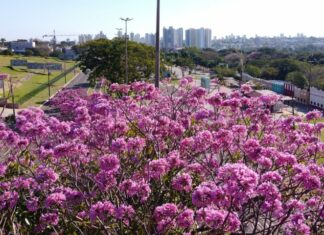 Category Template 1