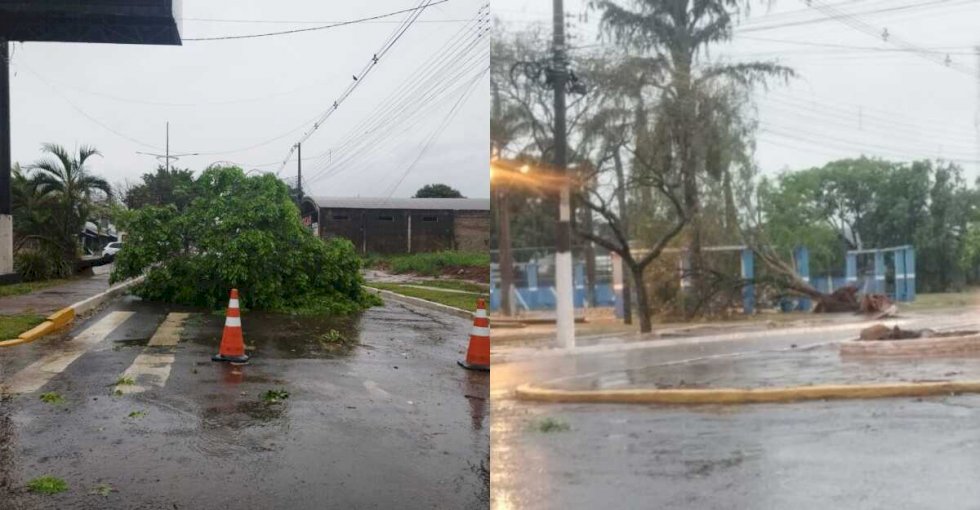 Temporal provoca queda de árvores e falta de energia em Caarapó e Amambai Temporal provoca queda de árvores e falta de energia em Caarapó e Amambai
