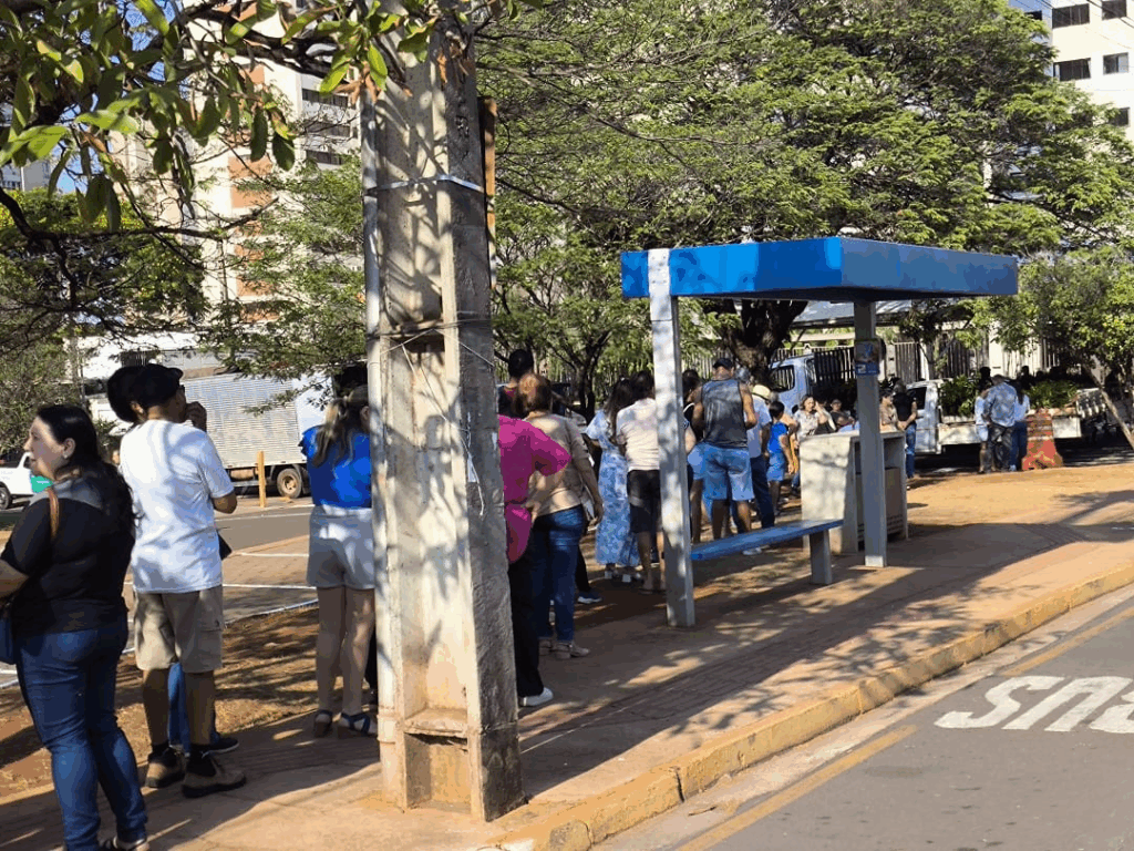 Prefeitura da Capital distribui mais de 15 mil mudas em comemoração ao Dia da Árvore