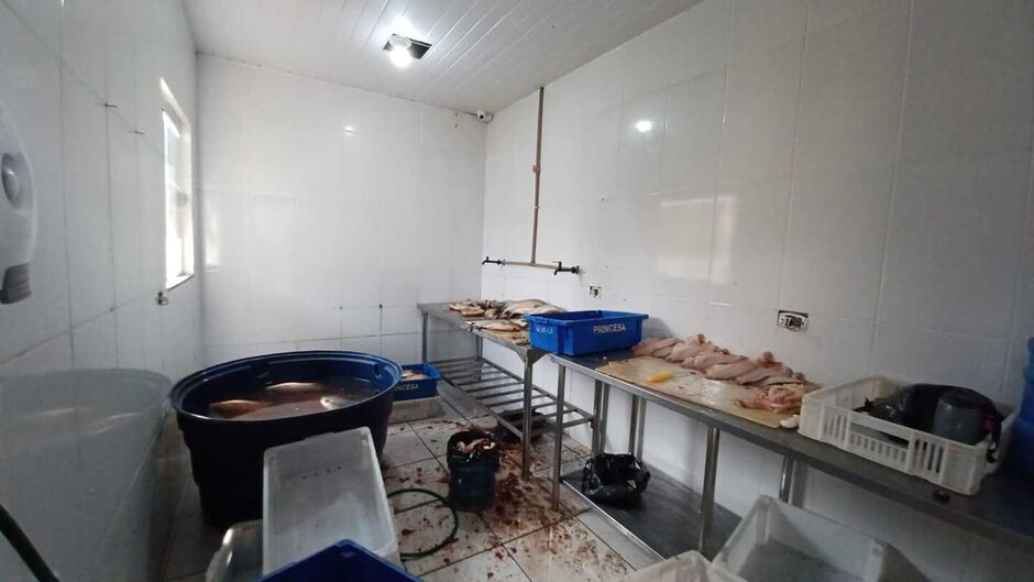 Peixaria é fechada pela polícia no centro da Capital e três toneladas de peixe são apreendidos