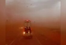Vídeo impressionante mostra possível tornado em lavoura às margens da BR-163