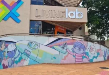 Capacitação do Sebrae/MS forma novos investidores para o mercado de startups em Mato Grosso do Sul