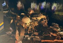 Engenheiro civil morre em colisão entre carro e caminhão na BR-267