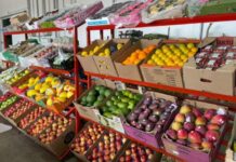 Quem pode comprar na CEASA/MS? Saiba como funciona e venha conhecer