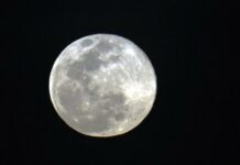Lua cheia próxima do perigeu marca espetáculo no céu nesta terça-feira