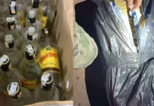 Operação Metanol: polícia apreende quase 1 tonelada de garrafas de uísque na BR-262