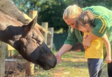 Cavalos transformam vidas em MS com equoterapia inclusiva