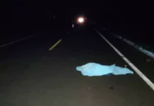 Pedestre morre atropelado por veículo na rodovia MS-379