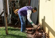 Boletim Epidemiológico: MS registra 9.961 casos confirmados de chikungunya