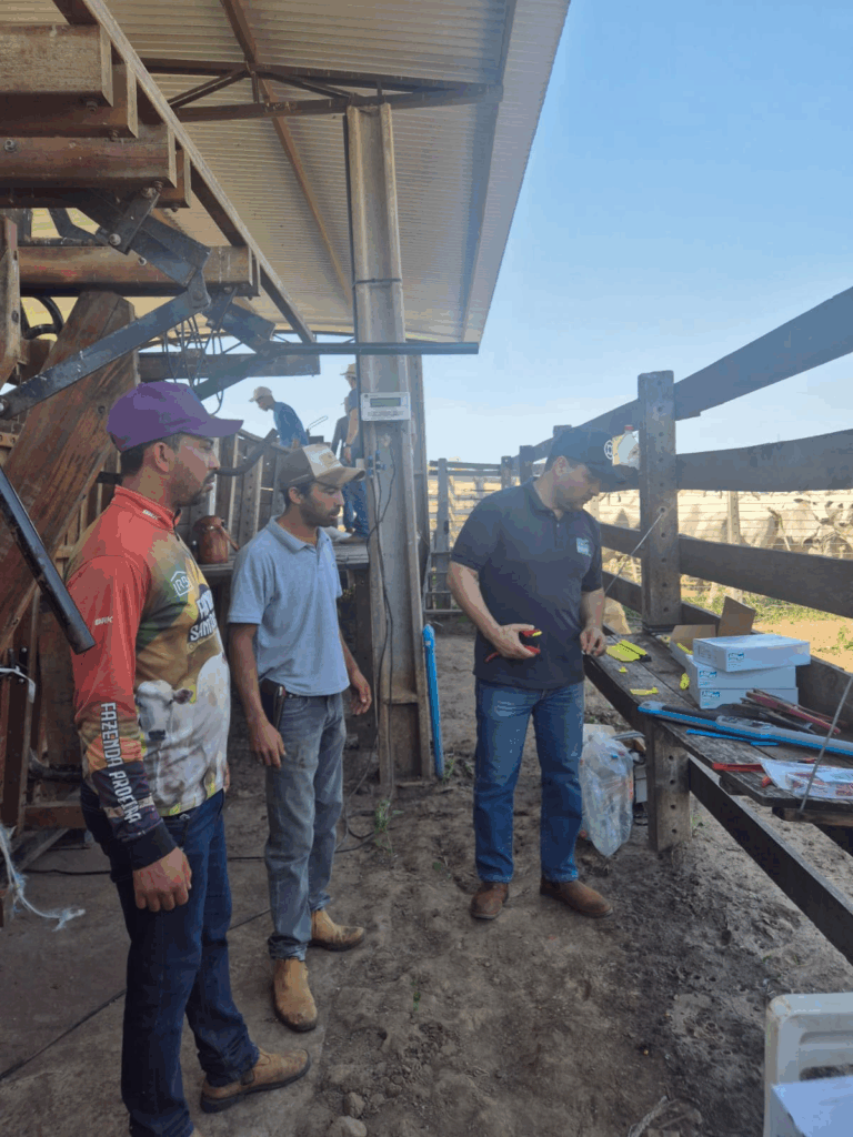 Fazenda de Corumbá é pioneira em MS a receber tecnologia de rastreabilidade bovina do Sebraetec Fazenda de Corumbá é pioneira em MS a receber tecnologia de rastreabilidade bovina do Sebraetec
