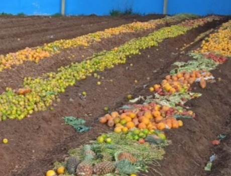 Ceasa une sustentabilidade, educação e combate à fome em Campo Grande Ceasa une sustentabilidade, educação e combate à fome em Campo Grande