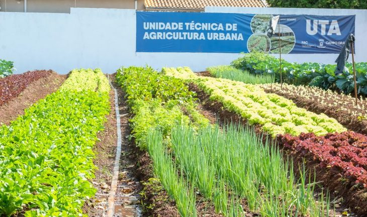 Ceasa une sustentabilidade, educação e combate à fome em Campo Grande Ceasa une sustentabilidade, educação e combate à fome em Campo Grande