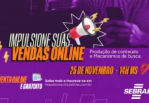 Especialistas do Google e Canva dão dicas para impulsionar vendas em evento online realizado pelo Sebrae/MS