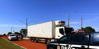 Apreendida em caminhão, tilápia seria reembalada com informações falsas e vendida