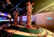 Projeto que une arte, ciência e sustentabilidade ganha espaço no museu do Bioparque Pantanal