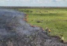 Incêndio gigantesco no meio do Pantanal mobiliza equipes do Prevfogo, Ibama e Corpo de Bombeiros