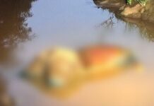 Corpo é encontrado dentro de córrego na Ernesto Geisel na região do Guanandi