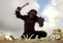 Uma odisseia no MIS: clássico de Kubrick ganha exibição e debate na Capital