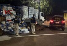 PRF apreende 2,7 toneladas de maconha escondidas em carga de fécula na BR-163